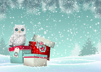 Christmas theme, white owl sitting on group of gift boxes in snowy landscape, illustration