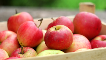Red apples in the crate