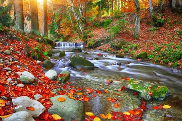 Deurstickers Herfst Bergrivier met stroomversnellingen en watervallen in de herfsttijd