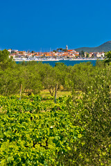 Fototapeta na wymiar Biograd Na Moru vineyards and olive trees
