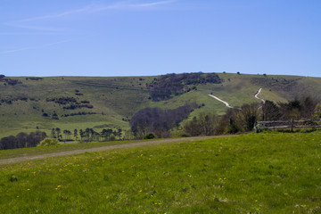 Sussex Countryside © lemanieh