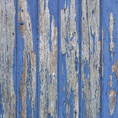 peeling blue paint on wooden door or fence