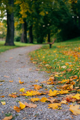 Turning pathway in autumnal park