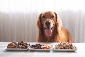 Golden retriever and its food