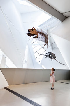 girl looking at dinosaur fossils at Royal Ontario Museum, Toronto, Ontario, Canada