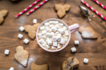 Hot cocoa with marshmallows air and ginger cookies