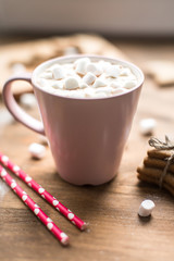 Fototapeta na wymiar delicious breakfast cocoa with marshmallows and ginger biscuits