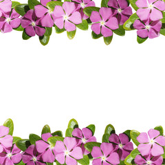 Beautiful floral background with lilac flowers 