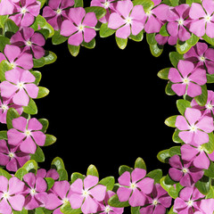 Beautiful floral background with lilac flowers 