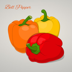 Cartoon sweet tomatoes isolated on grey background, vector illustration. Fruits