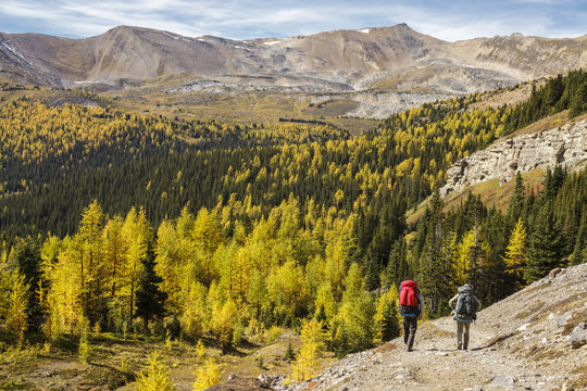 Two back packers descend the trail from Baker Lake in the Skoki wilderness area of Banff National Park, Alberta Canada. Model Released