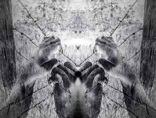 Artistic surreal tortured hands grasping desperately barbed wire (infrared)