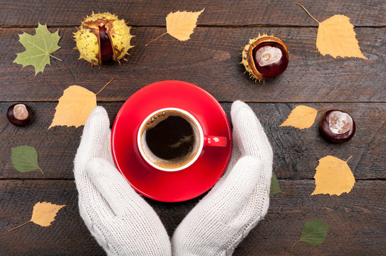 Woman hands in mittens holding cup of coffee on autumn wooden background. Autumnal coffee break. Concept cozy coffee cup. Top view