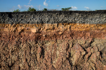 The curb erosion from storms. To indicate the layers of soil and - obrazy, fototapety, plakaty