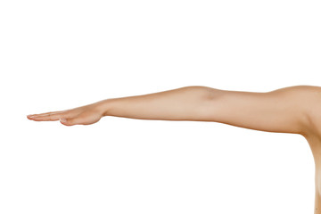 whole woman hand with the palm down on a white background