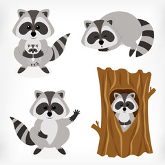 Raccoon set with standing raccoon, raccoon with baby, sleeping raccoon and raccoon inside tree. Vector cartoon illustration. © cheremuha