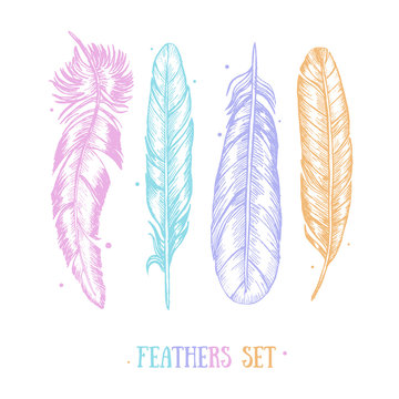 Feathers Set Hand Draw Sketch Card . Vector