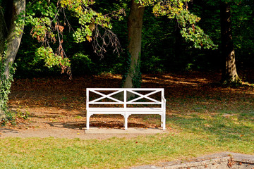 Weiße Holzbank im Park