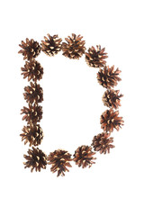 D letter made of pine cone
