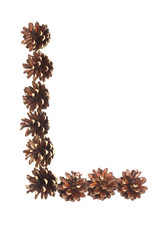 L letter made of pine cone