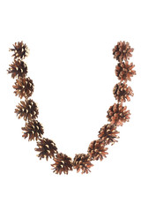 U letter made of pine cone