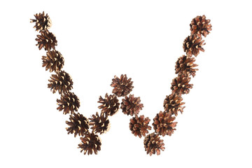 W letter made of pine cone