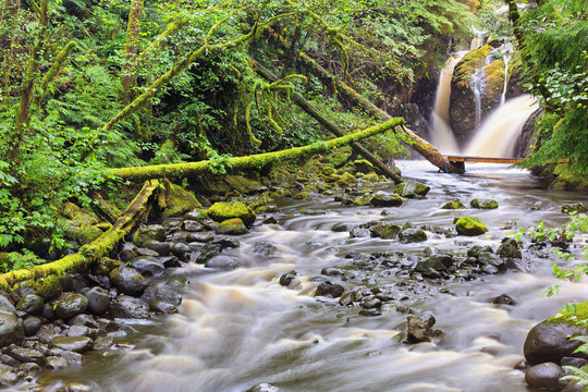Thornton Creek, Vancouver Island, British Columbia, Canada