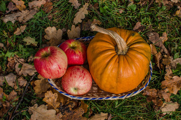 Pampkins with fall leaves