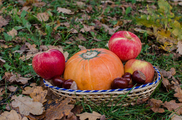Pampkins with fall leaves
