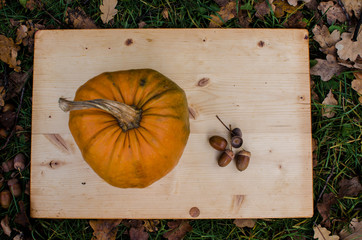Pampkins with fall leaves