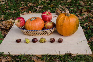 Pampkins with fall leaves