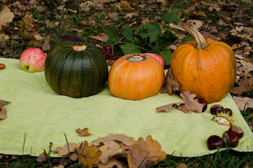Pampkins with fall leaves