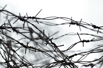 Fencing. Fence with barbed wire. Let. Jail. Thorns. Block. A prisoner.   under tension. Holocaust....