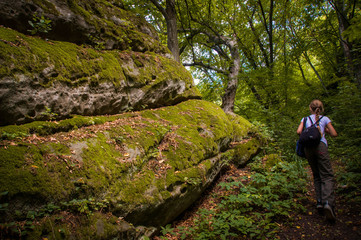 A lone traveler in the woods