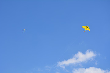 kite
