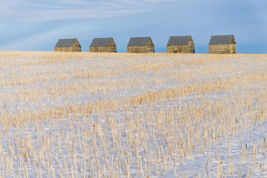 Row of barns in winter, Kneehill County, Alberta, Canada