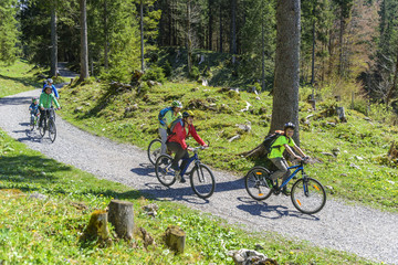 Radtour im Wald