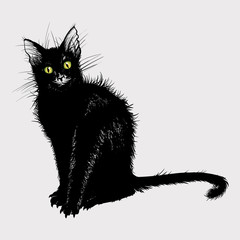 Hand drawing a black cat with green eyes.