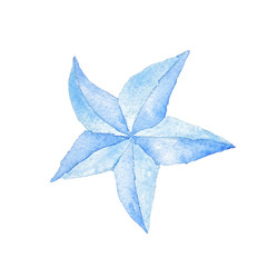 Star fish Blue  Nautical Watercolor Illustration Hand-painted Isolated Sea Element Navy Blue Ocean
