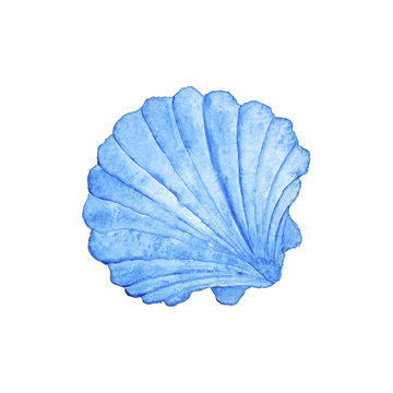Seashell Blue  Nautical Watercolor Illustration Hand-painted Isolated Sea Element Navy Blue Ocean

