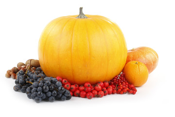 pumpkin and fruits isolated