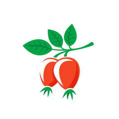Rosehip leaves with berries color silhouette. Briar symbol.
