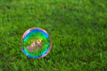 Soapbubble on green natural background.