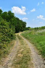 Fototapeta na wymiar A rural road into the nature with blue sky in the background