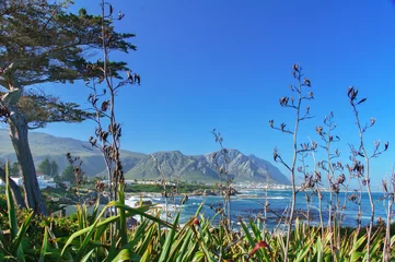 Foto op Plexiglas Beautiful ocean and coast landscape in Hermanus, South Africa   © Iuliia Sokolovska