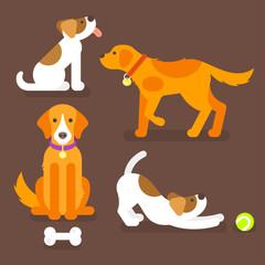 Vector flat style illustration of funny dogs