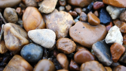 Travel through the beautiful corners of nature