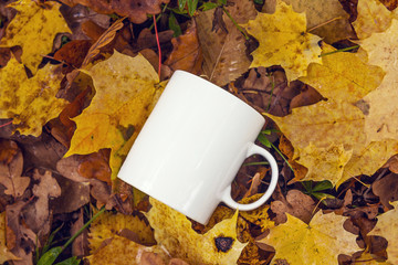 White coffee mug on the background of the fallen yellow leaves.
