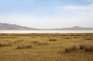 Fototapeta premium surface of the salt lake, salt marsh. north of Mongolia.