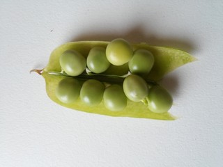Pea pod